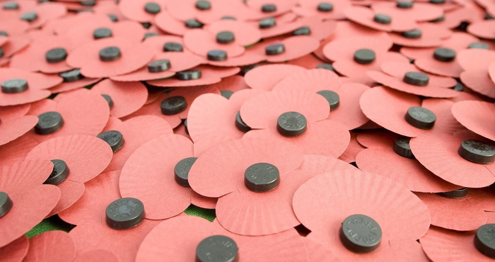 Royal British Legion paper poppies