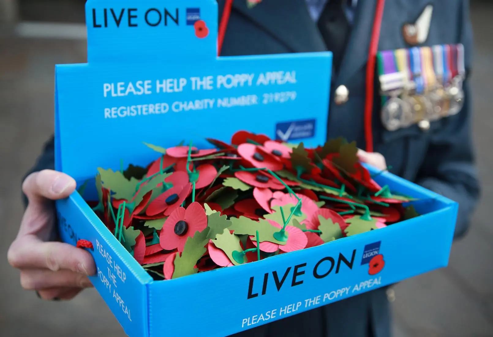 Royal British Legion paper poppies with leaves