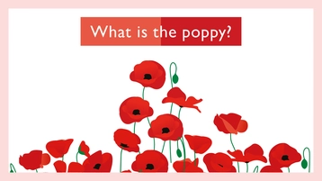 RBL_EYFS_PPT-Slide 15