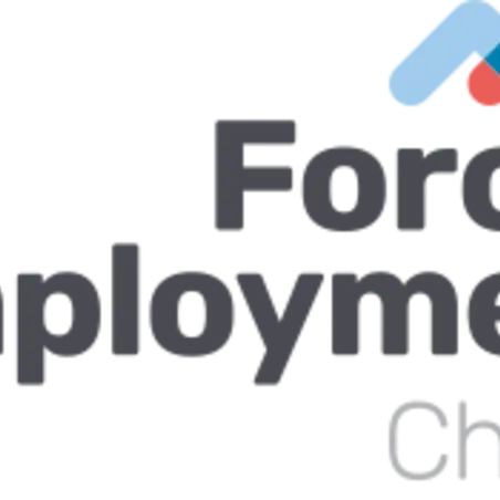 the-forces-employment-charity-logo_fe_lrg The Forces Employment Charity Logo