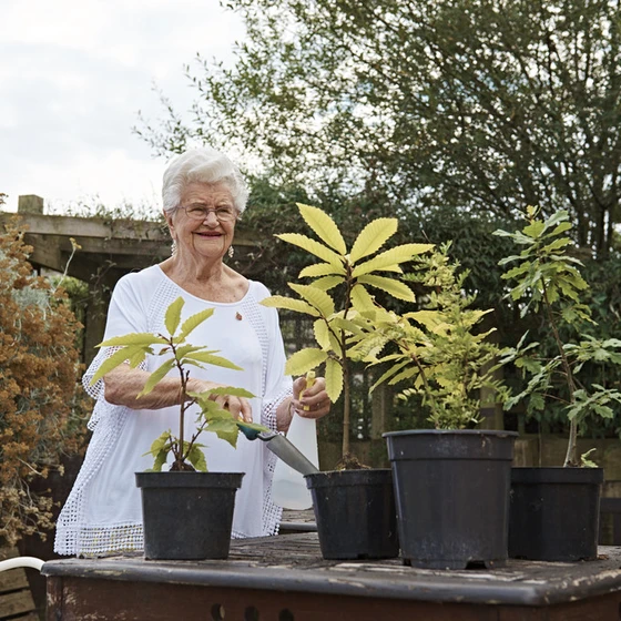 Dunkirk_Memorial_House_gardening_action A resident gardening at a Royal British Legion care home