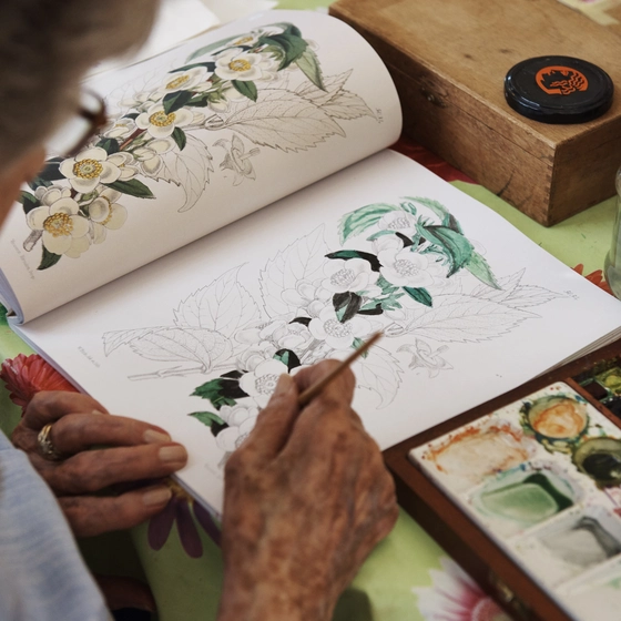Lister_House_activities_action A resident painting at a Royal British Legion care home