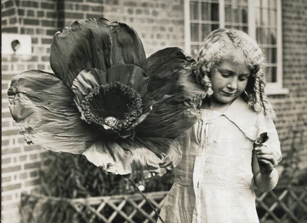 Girl with giant poppy Girl with giant poppy