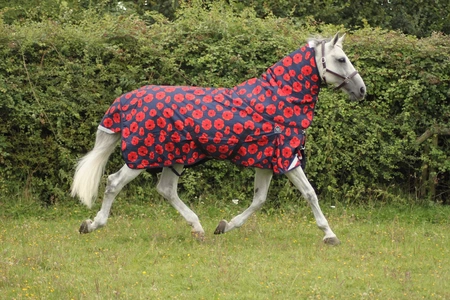 Mark Todd poppy rug Mark Todd poppy rug