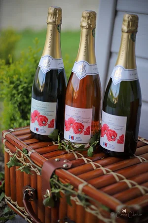 RBL Champagne 1 RBL Champagne 1