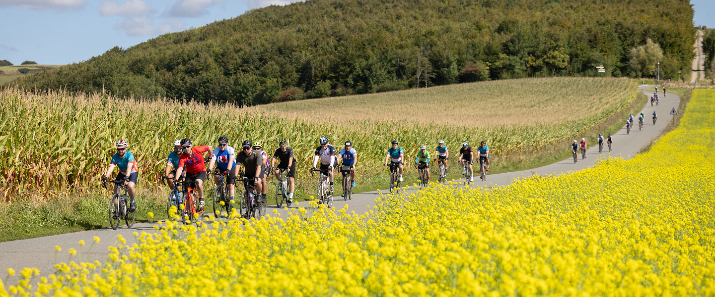 Hero Section - Normal