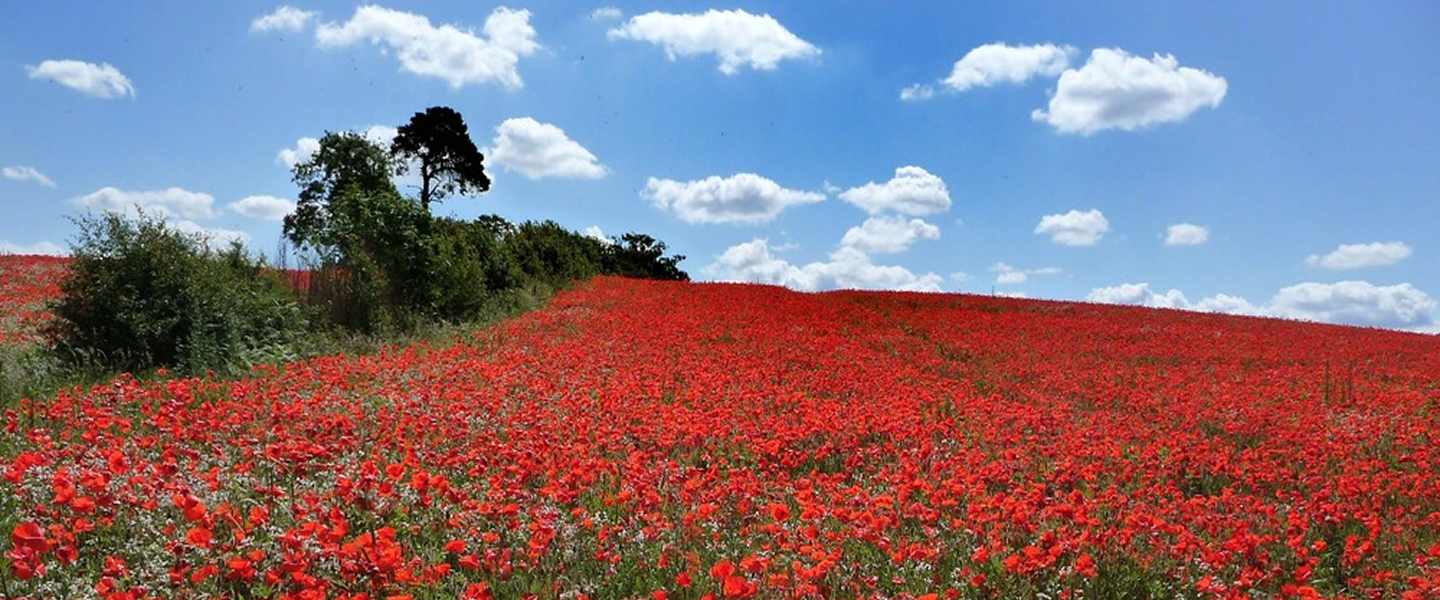 Modern service stories