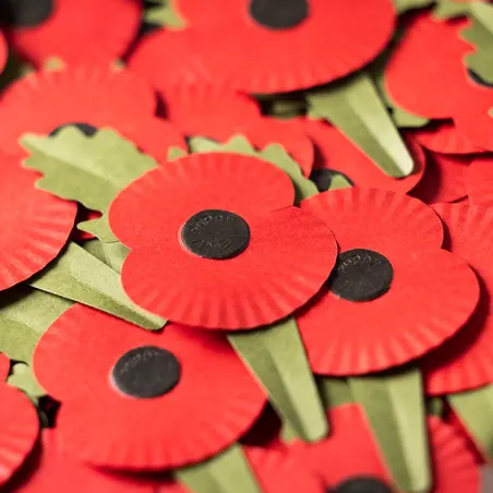 RBL Poppy RBL Poppy