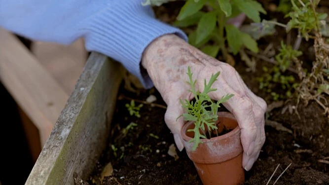 48055 crop version 2