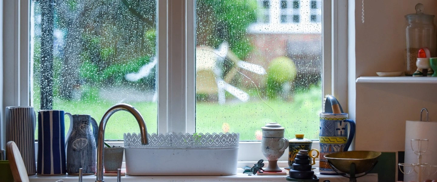 iStock-1317252741 edited