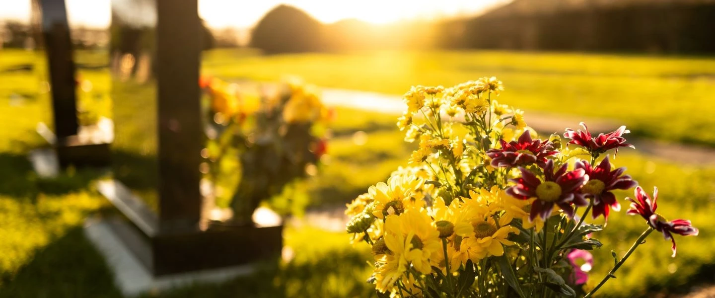 iStock-1922611294 Edited