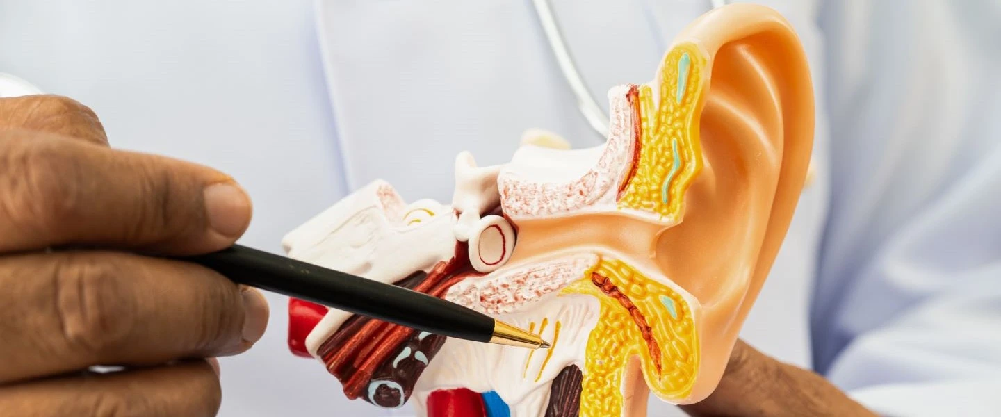 iStock-2218161547 - Edited