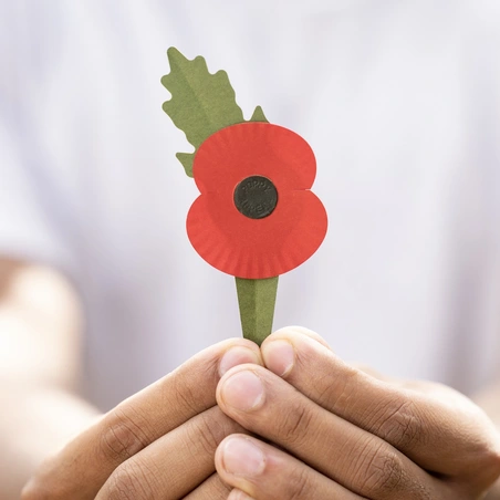 A new plastic-free poppy being held by the stem in two hands