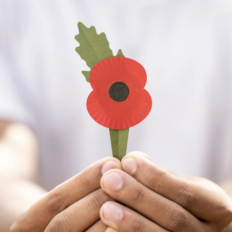 RBL_POPPY-11 A new plastic-free poppy being held by the stem in two hands