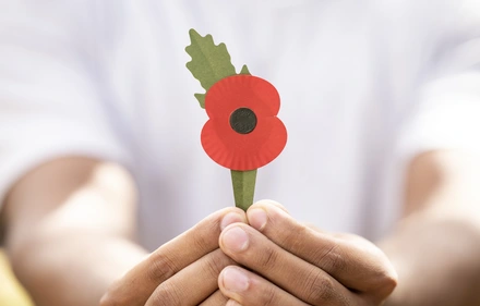 A new plastic-free poppy being held by the stem in two hands
