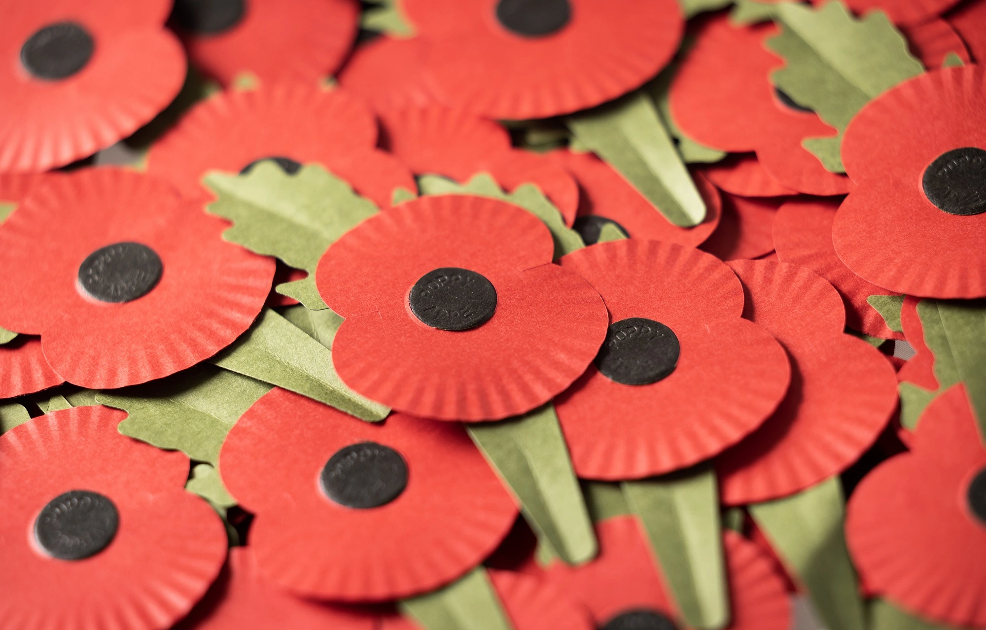 Poppy Appeal Volunteers Application Form| Royal British Legion