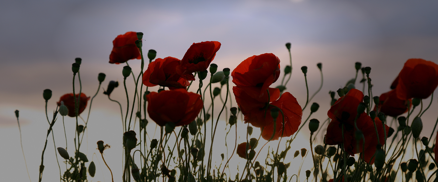 Cold War Era Hero Section