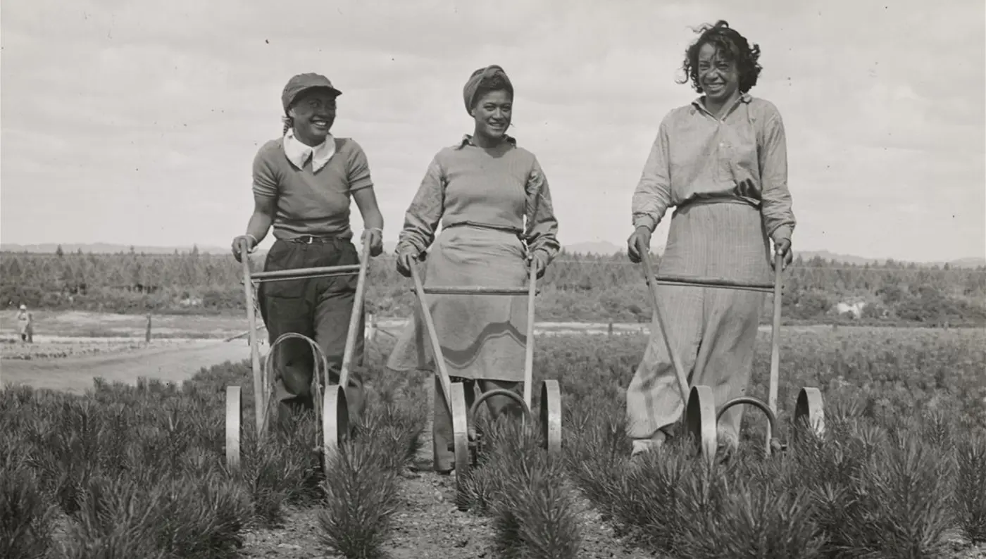 Young Maori women tending forestry seedlings