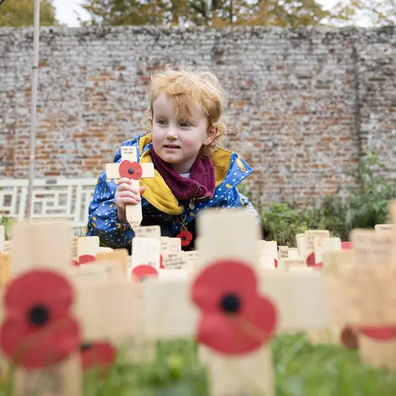 Child at Fields of Remembrance - 52403 Child at Fields of Remembrance - 52403