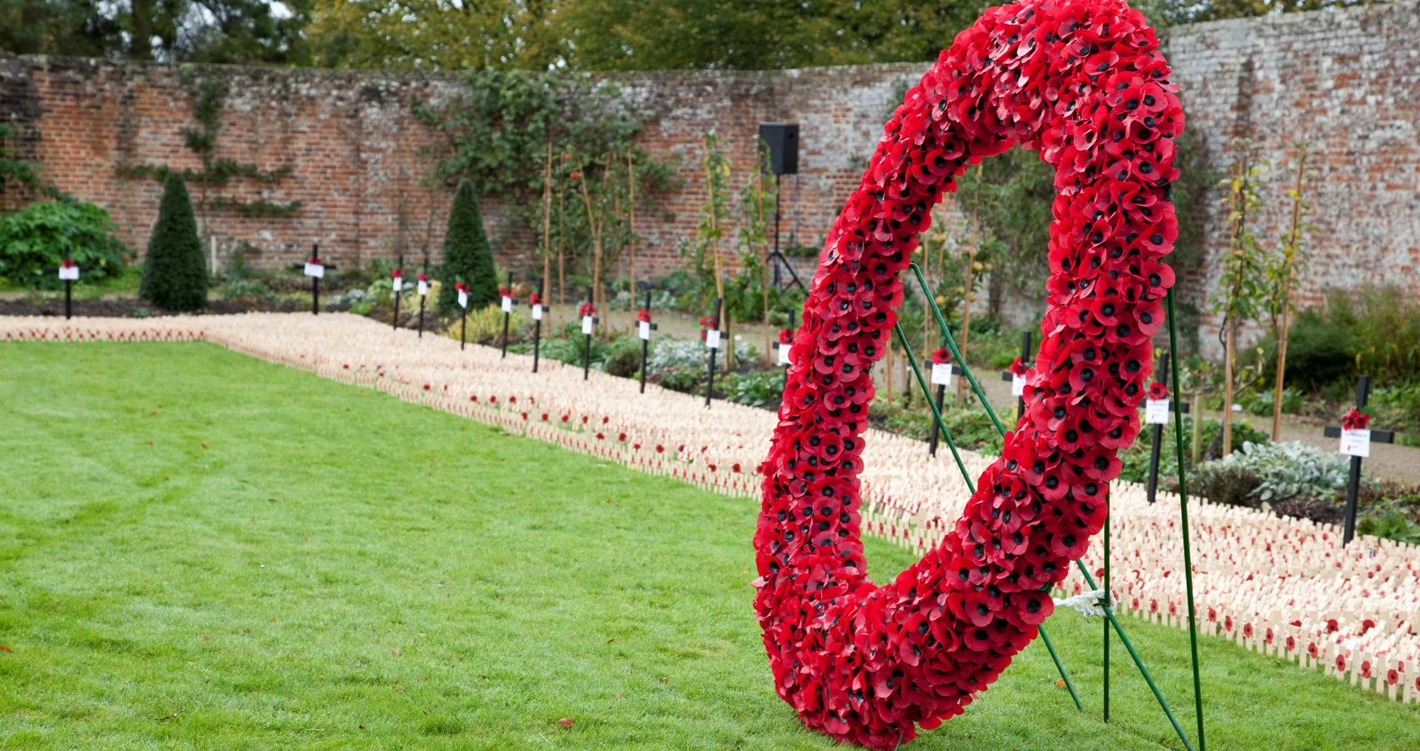 Poppy Wreath at Lydiard Park Fields of Remembrance