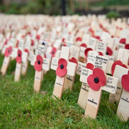 Tribute crosses from the Lydiard Park Field of Remembrance 
