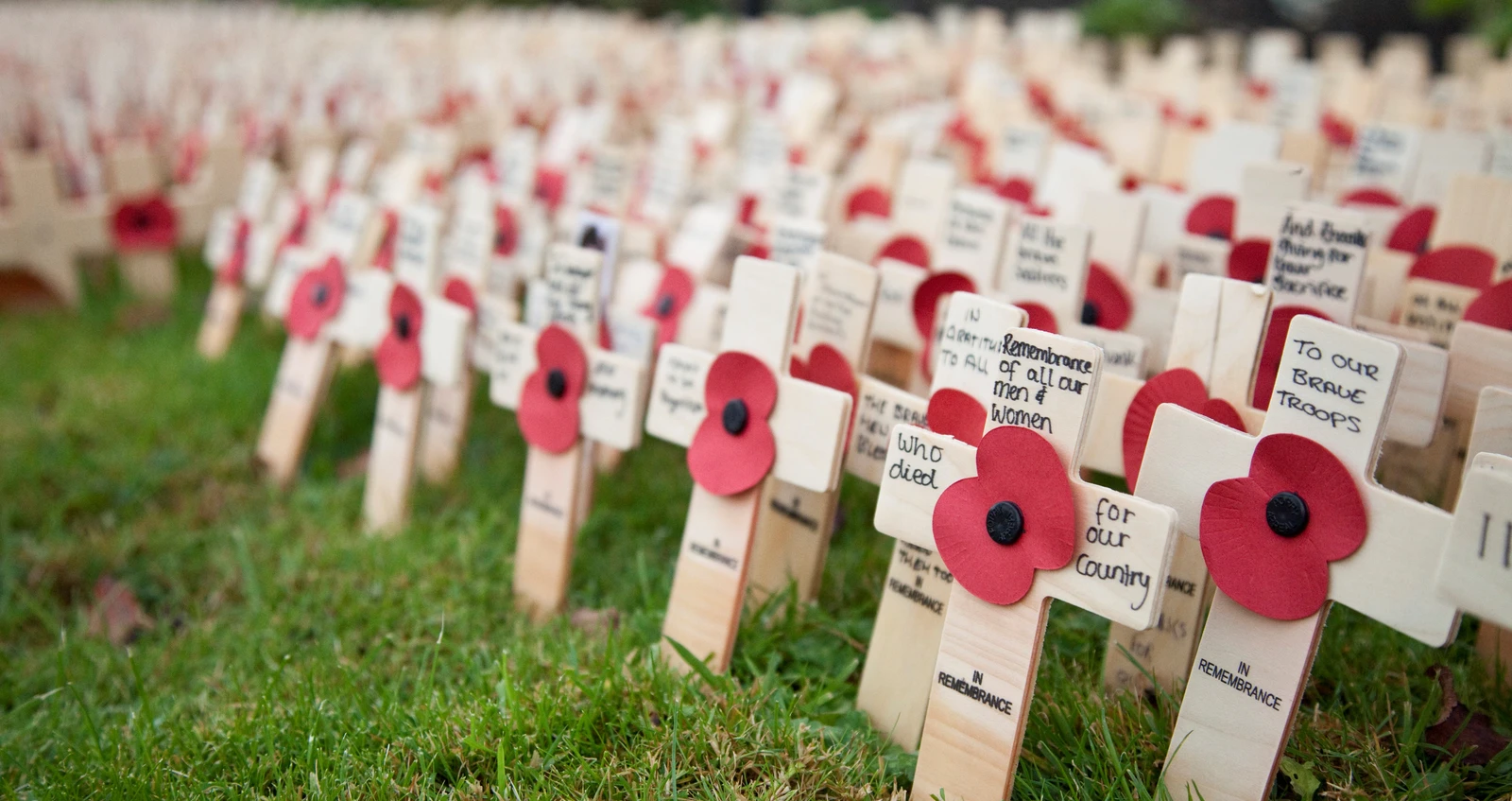 Tribute crosses from Lydiard Park Field of Remembrance  Tribute crosses from the Lydiard Park Field of Remembrance