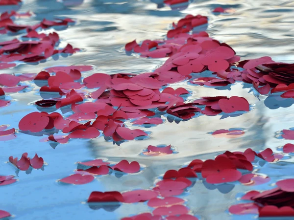 Poppies in Trafalgar Square fountain Poppies in Trafalgar Square fountain