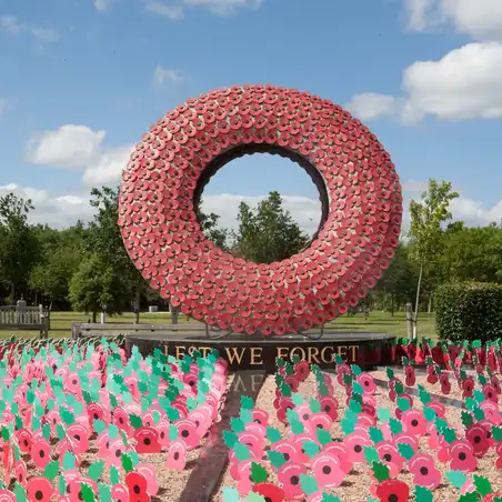 Poppy field - Lest We Forget - Armed Forces Day 2015_189