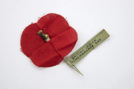 Poppy Rummery Rspb The Poppy and Remembrance