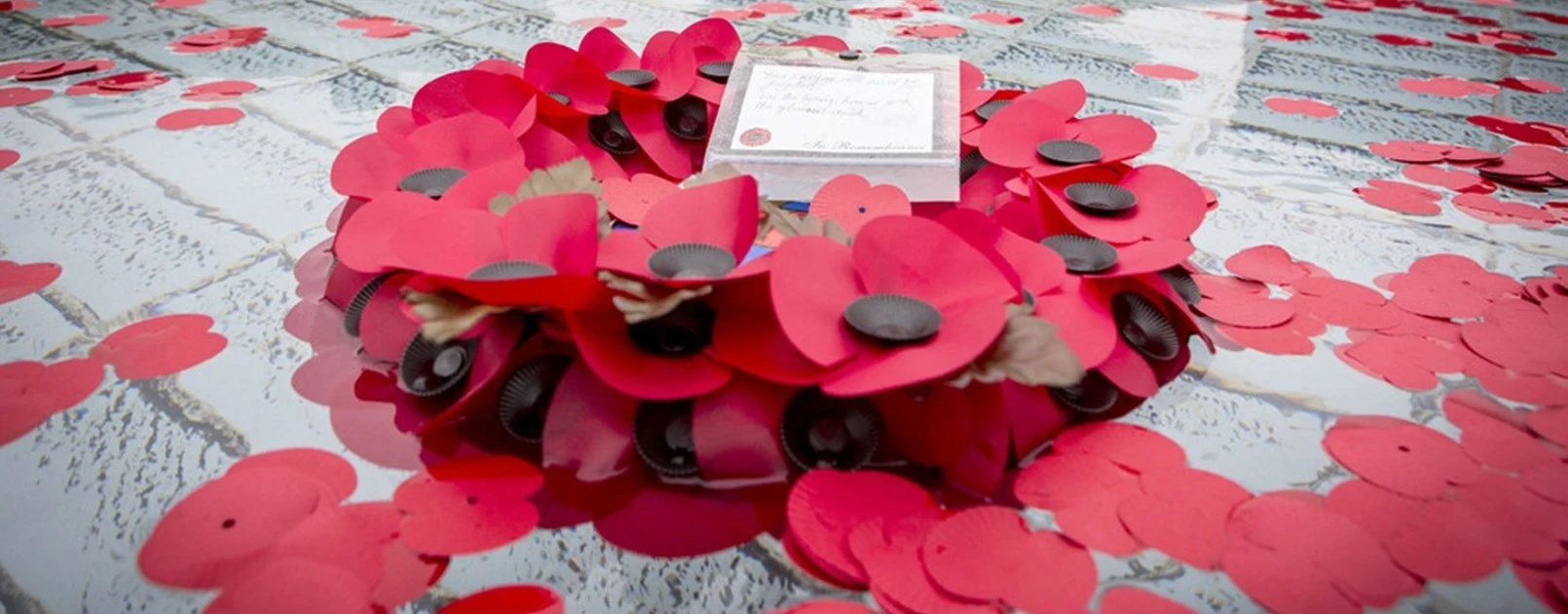 Poppy tribute for Alison Baskerville