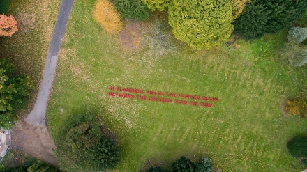 In Flanders Fields Royal Hospital Chelsea In Flanders Fields Royal Hospital Chelsea