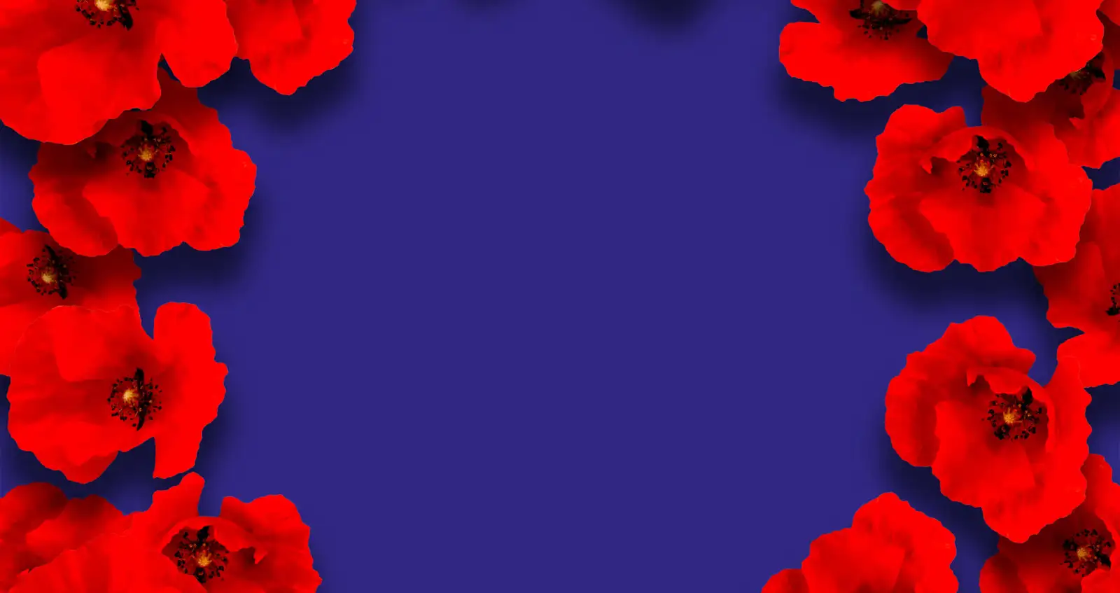 CONCEPT-ART-COVER-06-NO-COPY-new-poppy-v2 CONCEPT-ART-COVER-06-NO-COPY-new-poppy-v2