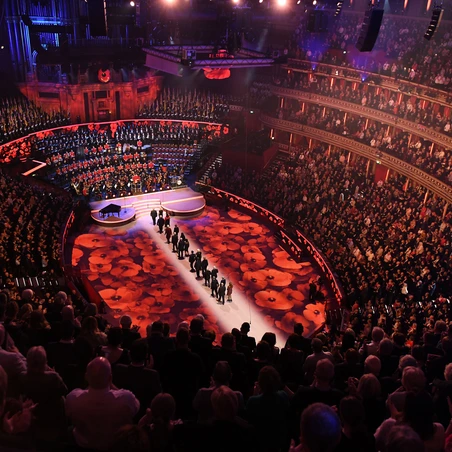 Festival of Remembrance poppies 2018 