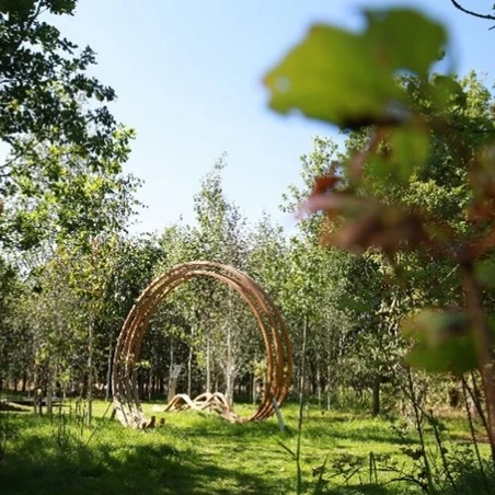 Remembrance Glade Remembrance Glade