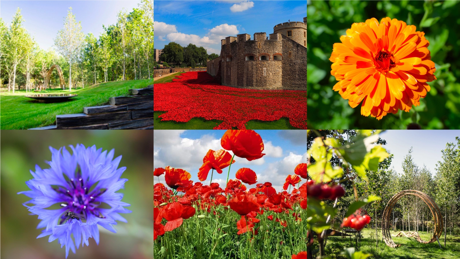 Remembrance in Nature resource pack