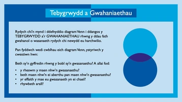 3 - People Who Serve Tebygrwydd a Gwahaniaethau