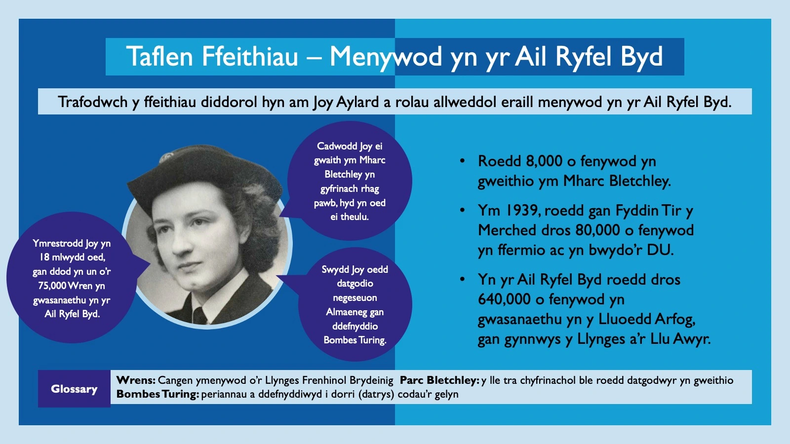 3 - Women in War - Taflen Ffeithiau