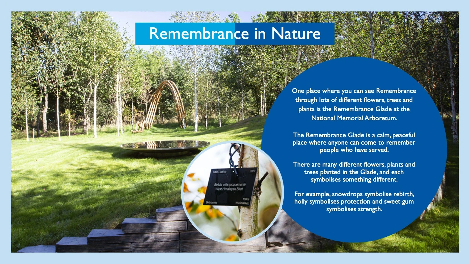 Remembrance in Nature resource pack intro