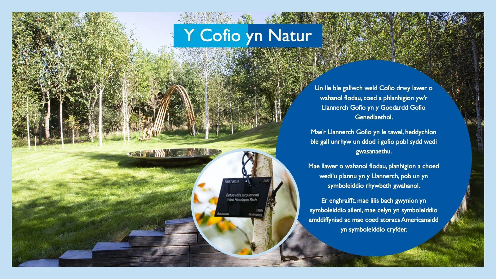 Y Cofio yn Nature intro