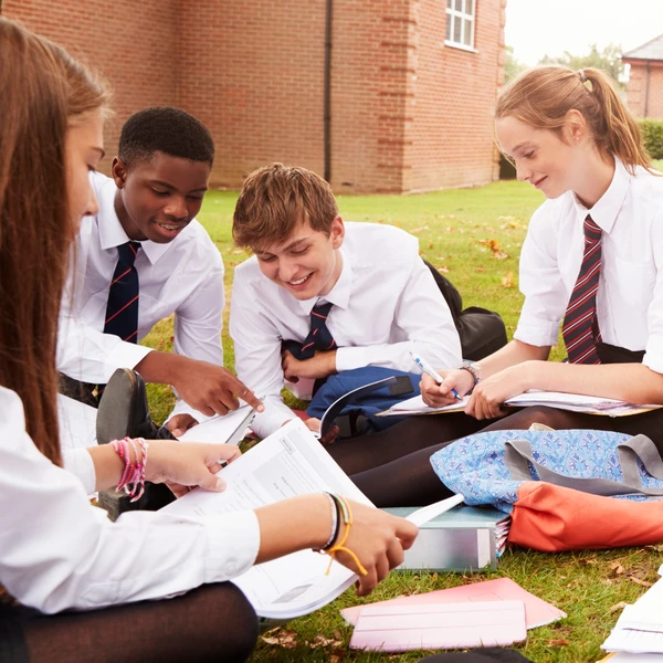 Groups of students studying