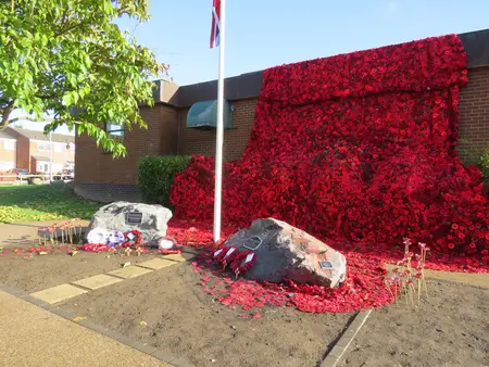 Braunstone poppy cascade ""