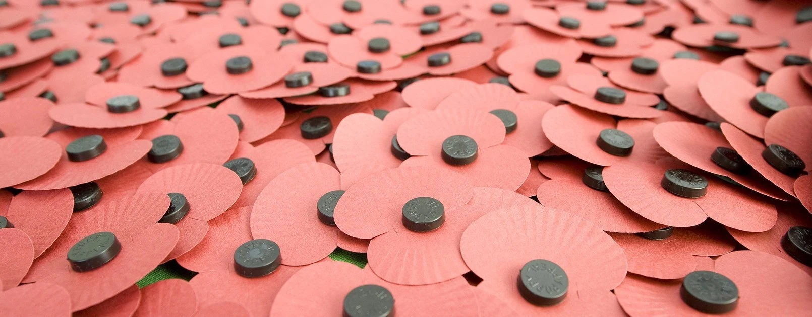 The Royal British Legions paper poppies