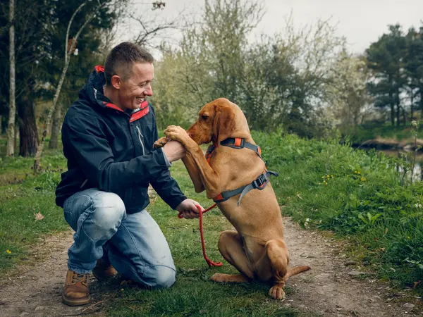 Paul Glazebrook walking his dog Paul Glazebrook walking his dog
