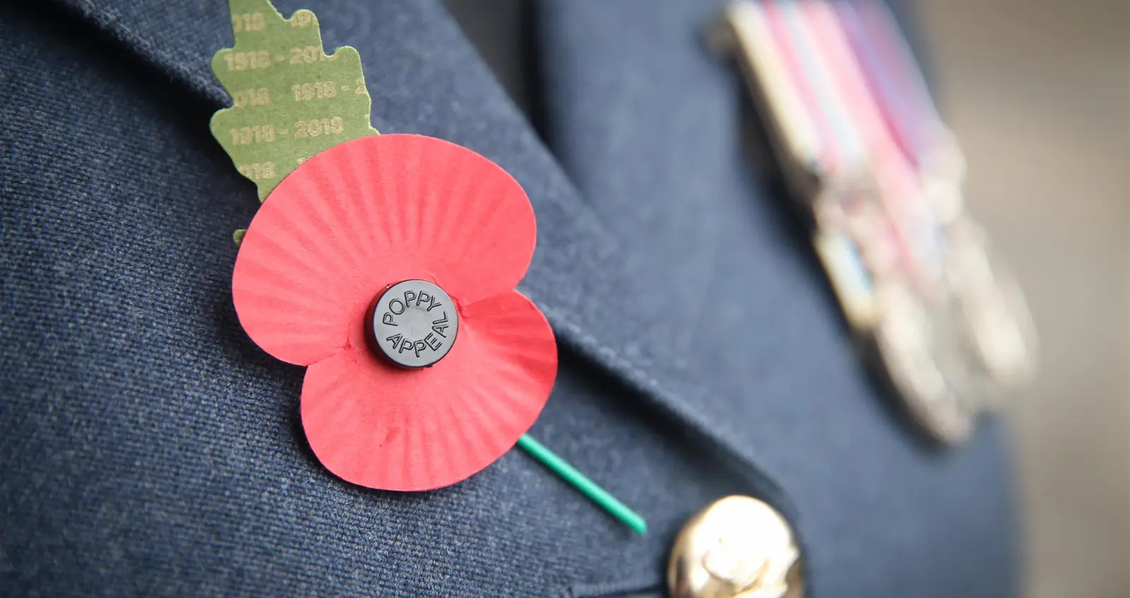 Service personnel wearing a poppy and medals.