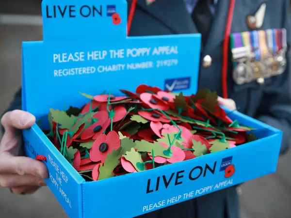 Royal British Legion paper poppies with leaves