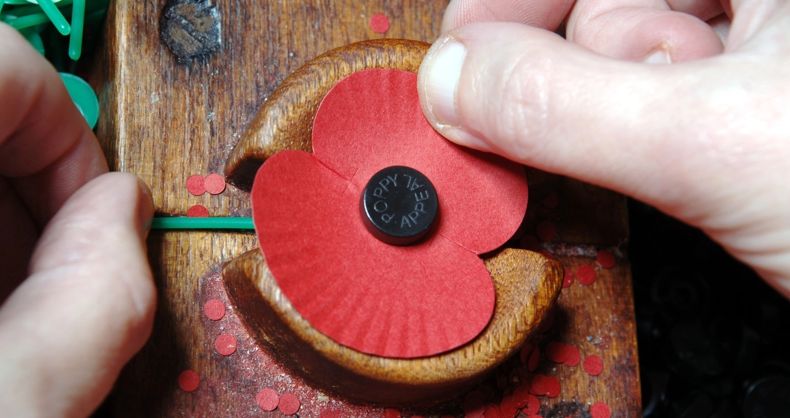 https://functions.rblcdn.co.uk/sitefinity/images/default-source/stories/11-things-you-might-not-know-about-the-poppy/stories_11_things_poppy_recycle.jpg?sfvrsn=9a22b32c_4&method=CropCropArguments&width=1600&height=847
