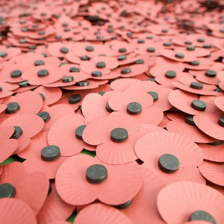 Paper poppies