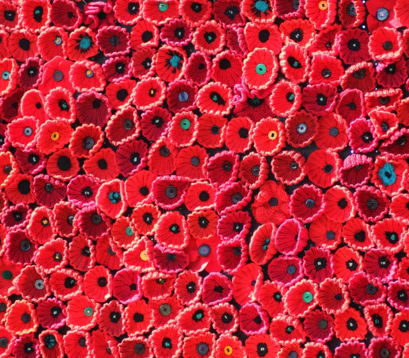 Knitted poppies Knitted poppies