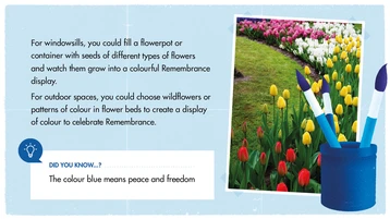 Design Space for Remembrance - KS212