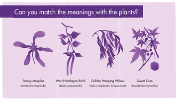 Growing Remembrance Through Poetry - KS25